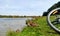 Ducks on a green grass lake shore and bike wheel summer landscape