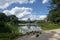 Ducks and the Harlem Meer in NYC`s Central Park