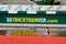 Ducks at Historic Hayward Field Eugene, OR