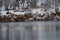Ducks in the lake in cloudy winter day