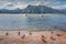 Ducks on Lake Como shore and sailboats at sunset, Bellagio, Lombardy, Italy