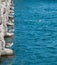 Ducks line up by River Niagara from power station