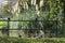 Ducks and pigeon birds perching on metal fence at Carlton Garden