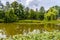 Ducks on the pond in the park. Wild ducks are reflected in the lake. Multi-colored feathers of birds. A pond with ducks and drakes