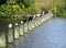 Ducks in a row - water birds sitting in row on poles in a lake in london