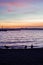 Ducks and seagulls in silhouette in front of a sunset on Lake Washington, looking out at Seattle nightlife