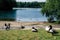 Ducks at the shore of a lake