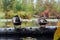 Ducks sleeping on a log in wetlands.