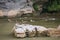 Ducks swim in front of rocky shore along Li River in Guilin, China