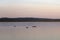 Ducks swim on the lake at sunset