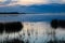 Ducks swimming as morning mist rises off a lake