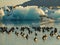 Ducks swimming in the glacier lagoon