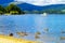 Ducks swimming in the Loch Lomond lake in Luss, Scotland, UK