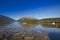 Ducks swimming at Nelson Lakes