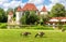 Ducks walk in park meadow by old Blutenburg Castle, Munich, Germany