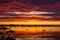 Ducks in the water during a dazzling sunset on lake Zoetermeerse Plas, Zoetermeer, netherlands