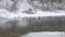 Ducks winter on thin ice on a winter river.