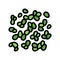 duckweed seaweed color icon vector illustration