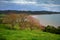 Duder Regional Park, a coastal farm park in New Zealand