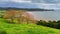 Duder Regional Park, a coastal farm park in New Zealand