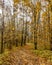 Duderhof heights, a natural monument, a group of hills of glacial origin