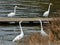 Duel of white herons in marsh