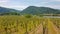 Duernstein - Scenic view of vineyards in Duernstein in Krems an der Donau, Lower Austria, Europe