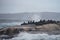 Duiker Island near Hout Bay, Cape Town.