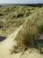 Duinen op Vlieland, Dunes at Vlieland