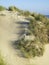 Duinen op Vlieland, Dunes at Vlieland