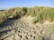 Duinen op Vlieland, Dunes at Vlieland