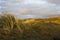 Duinen Vlieland, Nederland; Dunes Vlieland, Netherlands