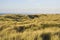 Duinen Vlieland, Nederland; Dunes Vlieland, Netherlands