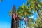 Duke Kahanamoku iconic statue at Waikiki Beach, Honolulu, Hawaii