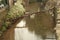 Dulas Brook running through Ewyas Harold in Autumn in Herefordshire