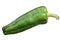 Dulce Espana sweet green pepper, paths