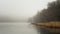 dull colors of late autumn. foggy landscape with scenic views of the lake and coastline with bare trees, dry reed in wet weather