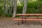 dull red picnic bench with dirt ground and trees