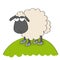 Dull sheep in shoes, standing on the hill and looking stupid