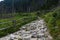 Dull sky in mountains, stone path