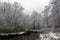 Dull winter landscape with flowing river. Bent over the water shrubs and trees covered with snow. The dark river in a bleak winter