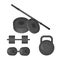Dumbbell, kettlebell, disk weight and barbell icon on the white background. Sports equipment illustration set