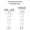 Dumbbell overhead shoulder press exercise outline