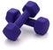 Dumbbell Weights