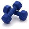 Dumbbell Weights