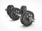 Dumbbell weights with money sign