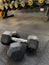 Dumbbells arranged in the photo in focus.