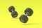 Dumbbells with heavy plates. Sports equipment