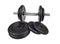 Dumbbells patterned with rubberized disks.