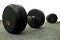 Dumbbells with solid steel head rubber coated. 10 Kilogram white wall